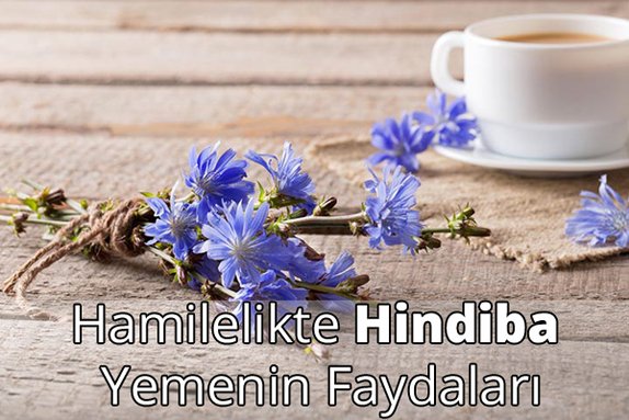 Hamilelikte (Gebelikte) Hindiba Yemenin Faydaları