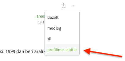 Ekşi Sözlük Profile Entry Sabitleme 3