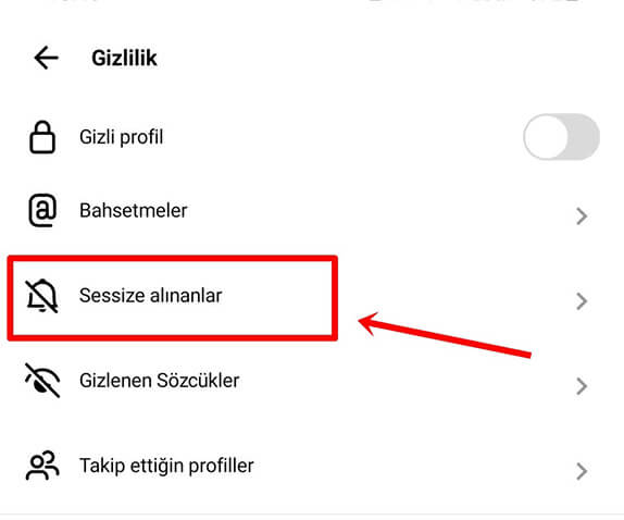 Threads Sessize Alınan Hesaplar Nasıl Görüntülenir? - 4